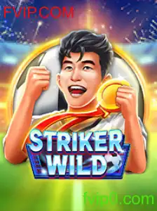 Descubra o Mundo Empolgante de StrikerWILD